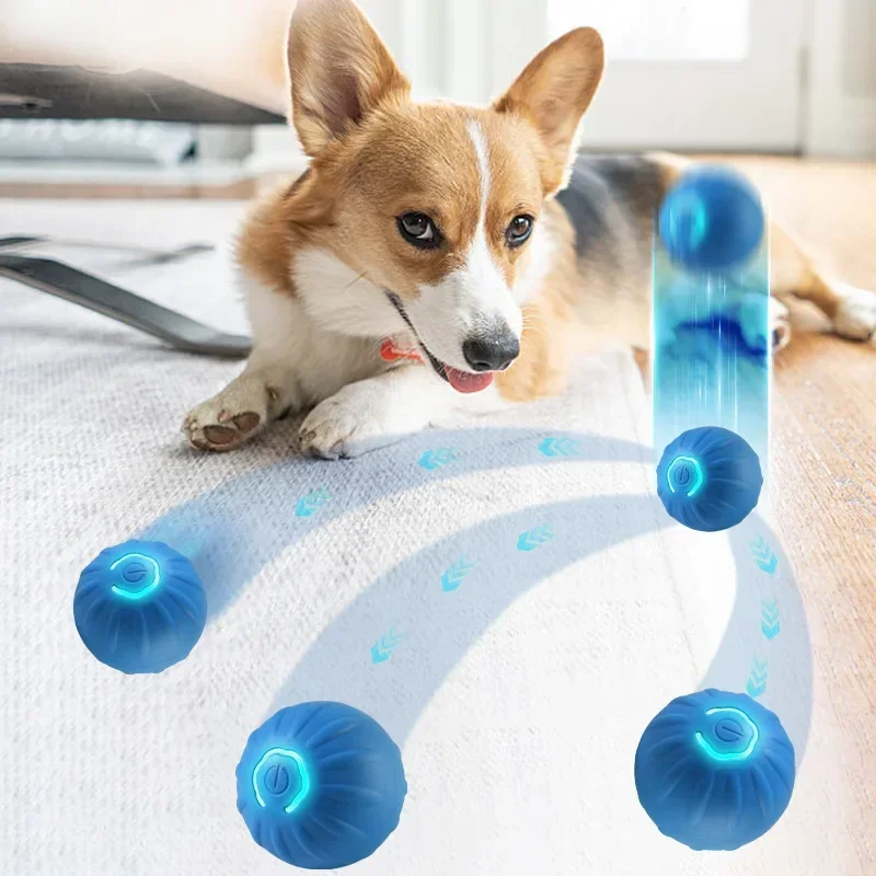 Supplies. Dog Toys Dogs for Smarts Activity Puppy Birthday Toy Electronic Ball Stuff Pet Accessories Interactive Gift Products