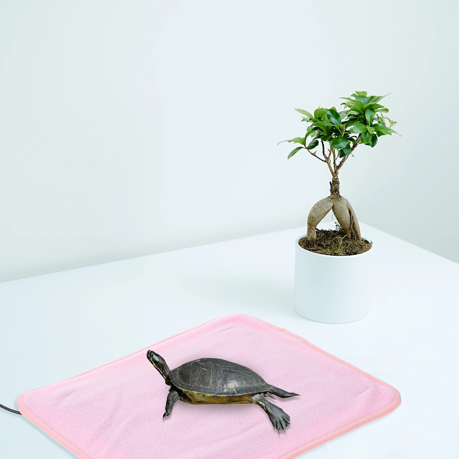 

1Pcs USB Heating Pad Adjustable Pet Warm Cushion for Lizard Snake Turtle Reptile Heating Mat Winter Survival Terrarium Supply