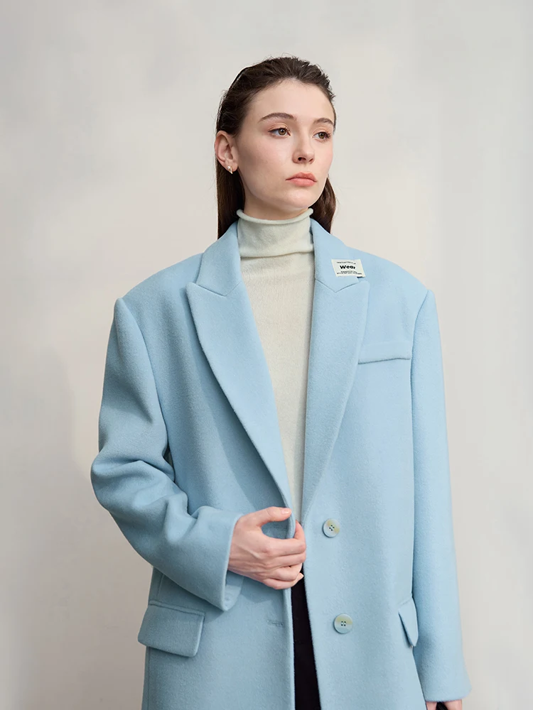 

AMII Women's Jacket 2025 Winter New Commuter Versatile Turn-Down Collar Jacket Women's Loose Long Sleeves Tops Lady 12544046