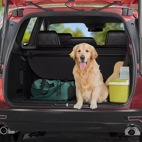 10 best sales विषुव सहायक उपकरण - №2