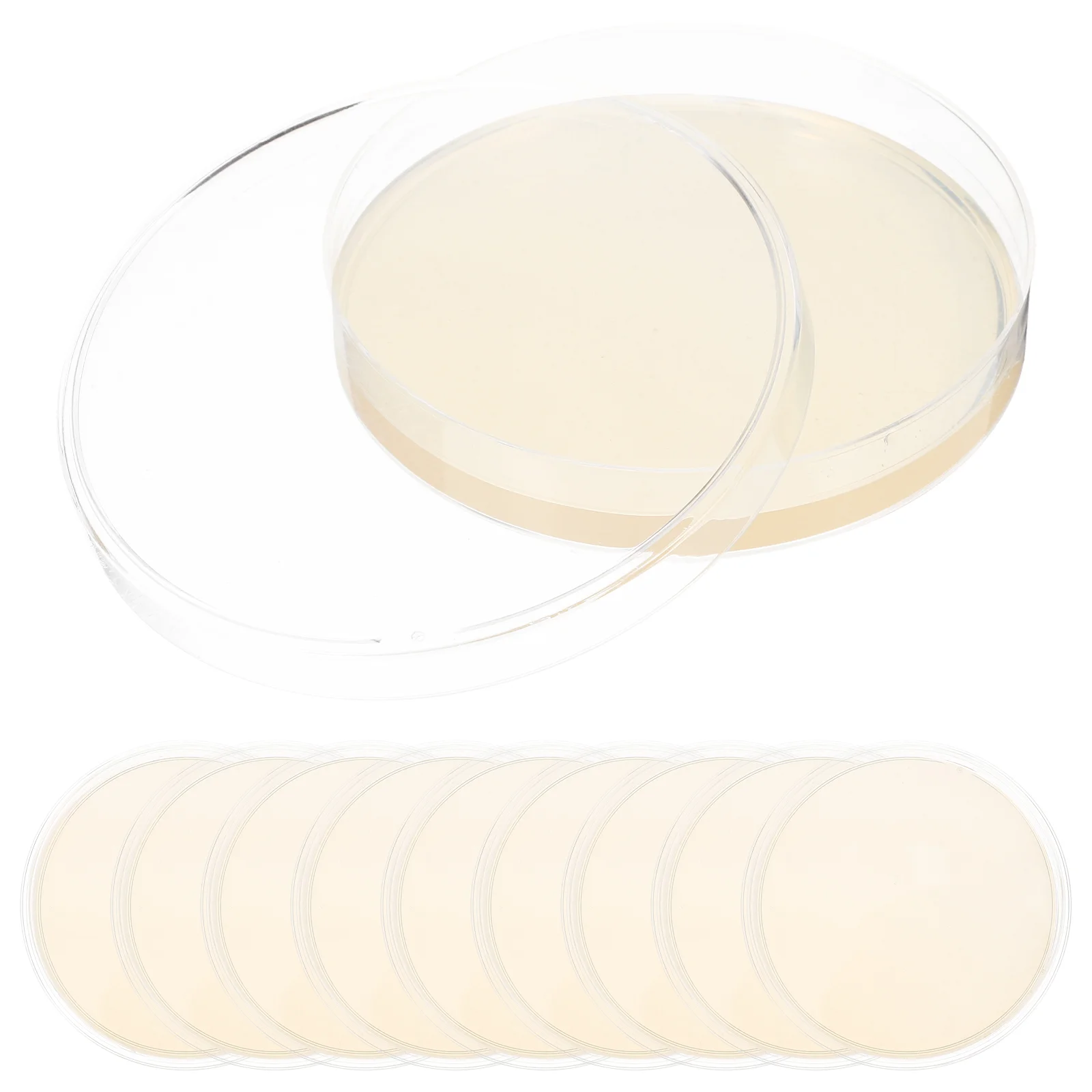 

10 Pcs Biological Determine Equipment Agar Plates Finished Product Glass Medium