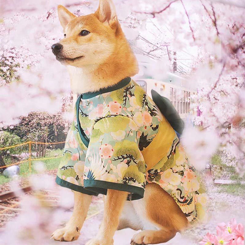 

Japanese Style Kimono Dog Clothes, Cat Dress, Small, Large Dog Coat, Corgi Shiba Inu, Poodle Dog, Christmas, Easter Holiday Cost