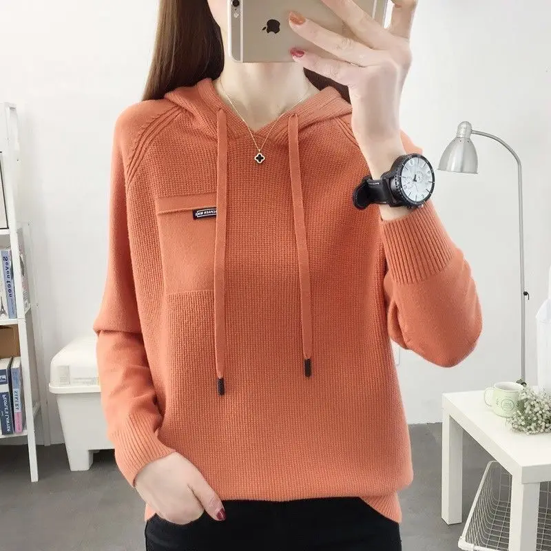 Autumn Pullover Sweater 2023 New Thin Knitwear Hooded Sweater Loose Long Sleeve Solid Pullover Sweater Coat Undercoat Women Top