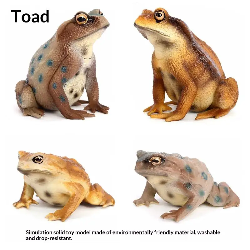 1Pcs Hand Painted Amphibious Animal Figurine Educational Realistic Toad Frog Figure Rubber Animal Model Toy For Kids