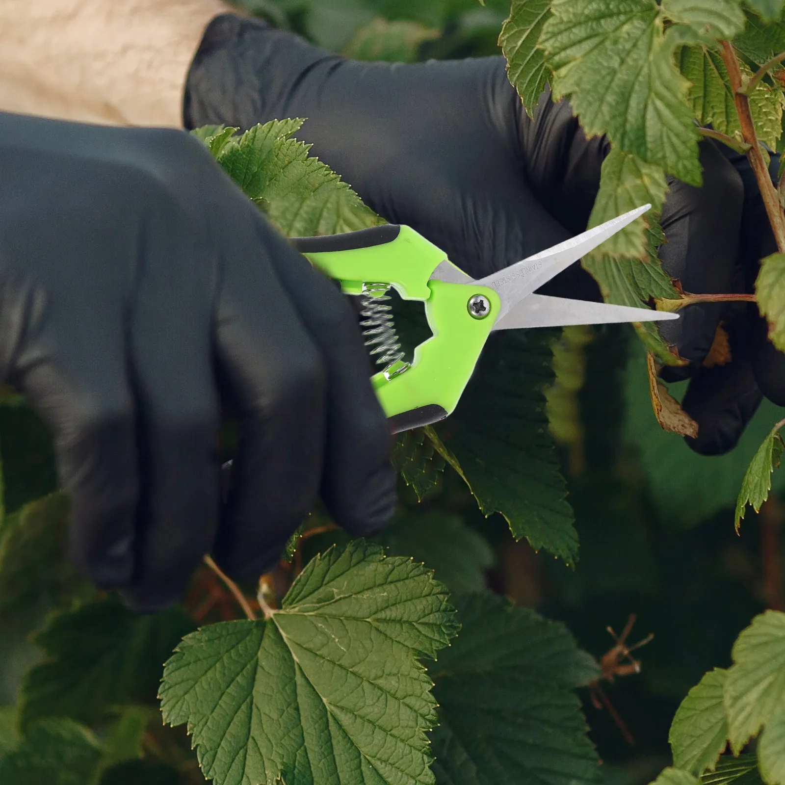 

5 Pcs Garden Pruning Shears Stainless Steel Plastic H Trimmer Hedge Tree Cutting Gardening Tools Scissors
