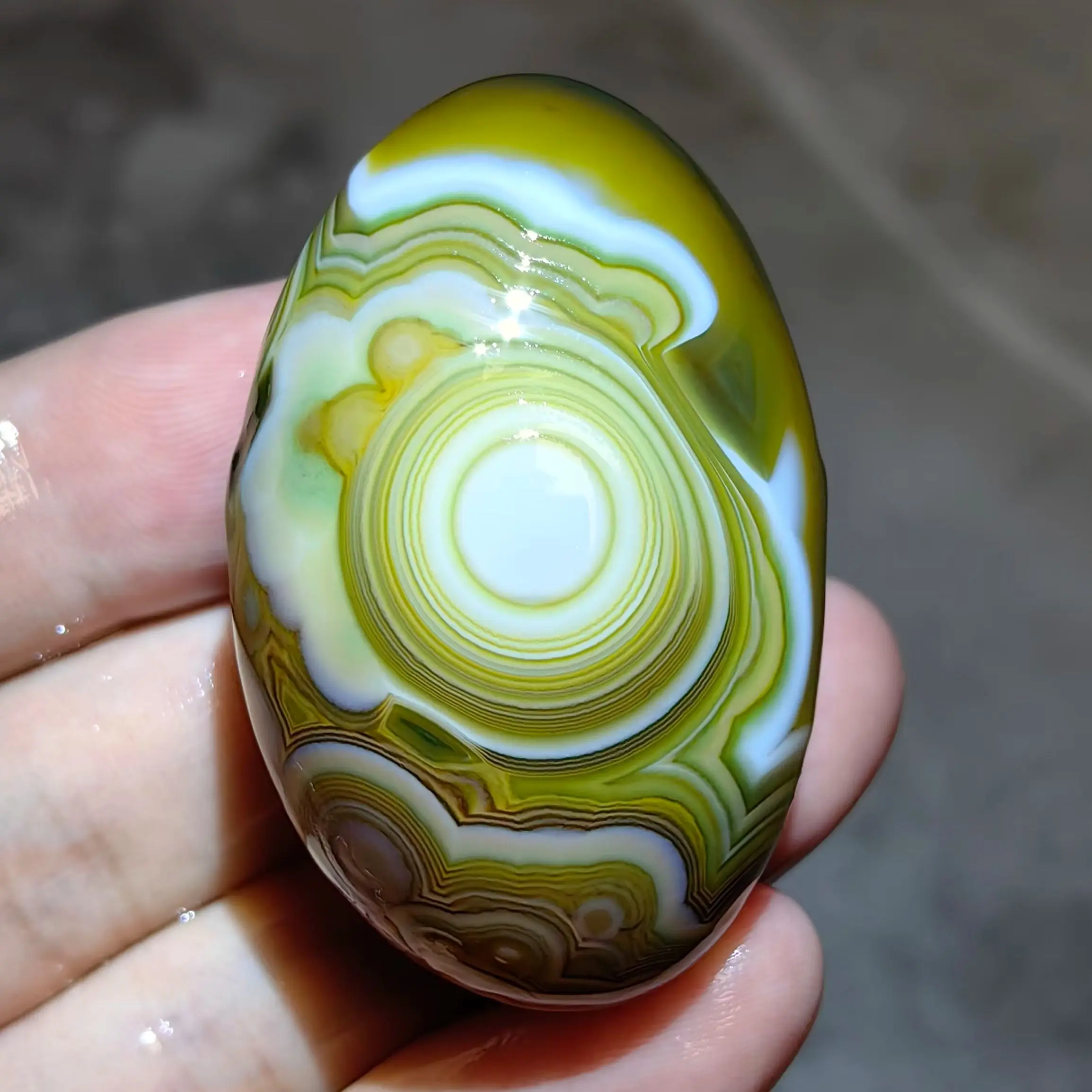 Natural Patterned Agate Egg Shape with Complex Circular Motifs with Distinctive Concentric Rings for Home Decor or Craft Use