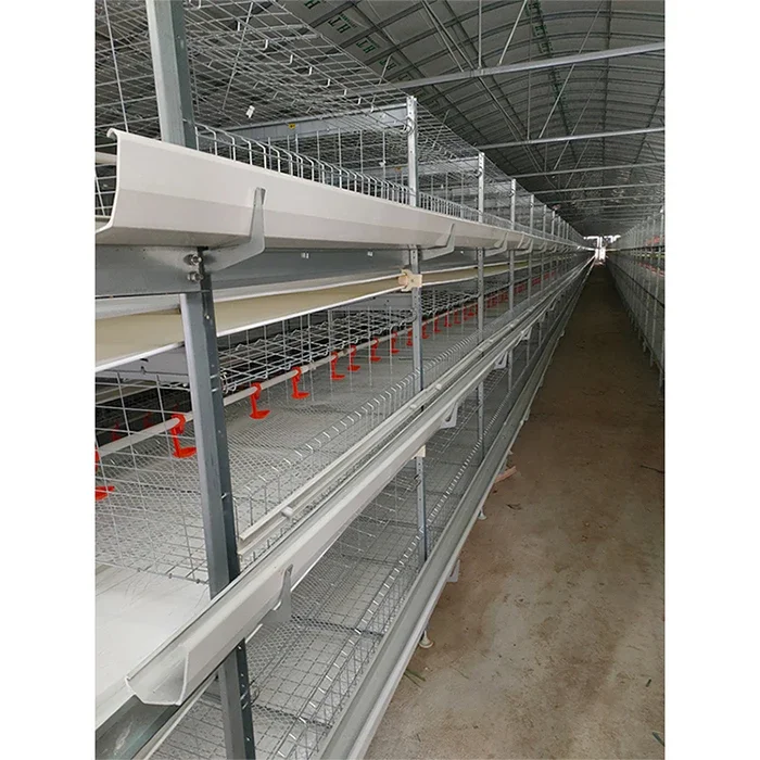 Hot Dip Galvanized Laying Hens 5000 Birds Frame Multi Tiers Egg Layer Chicken Cage