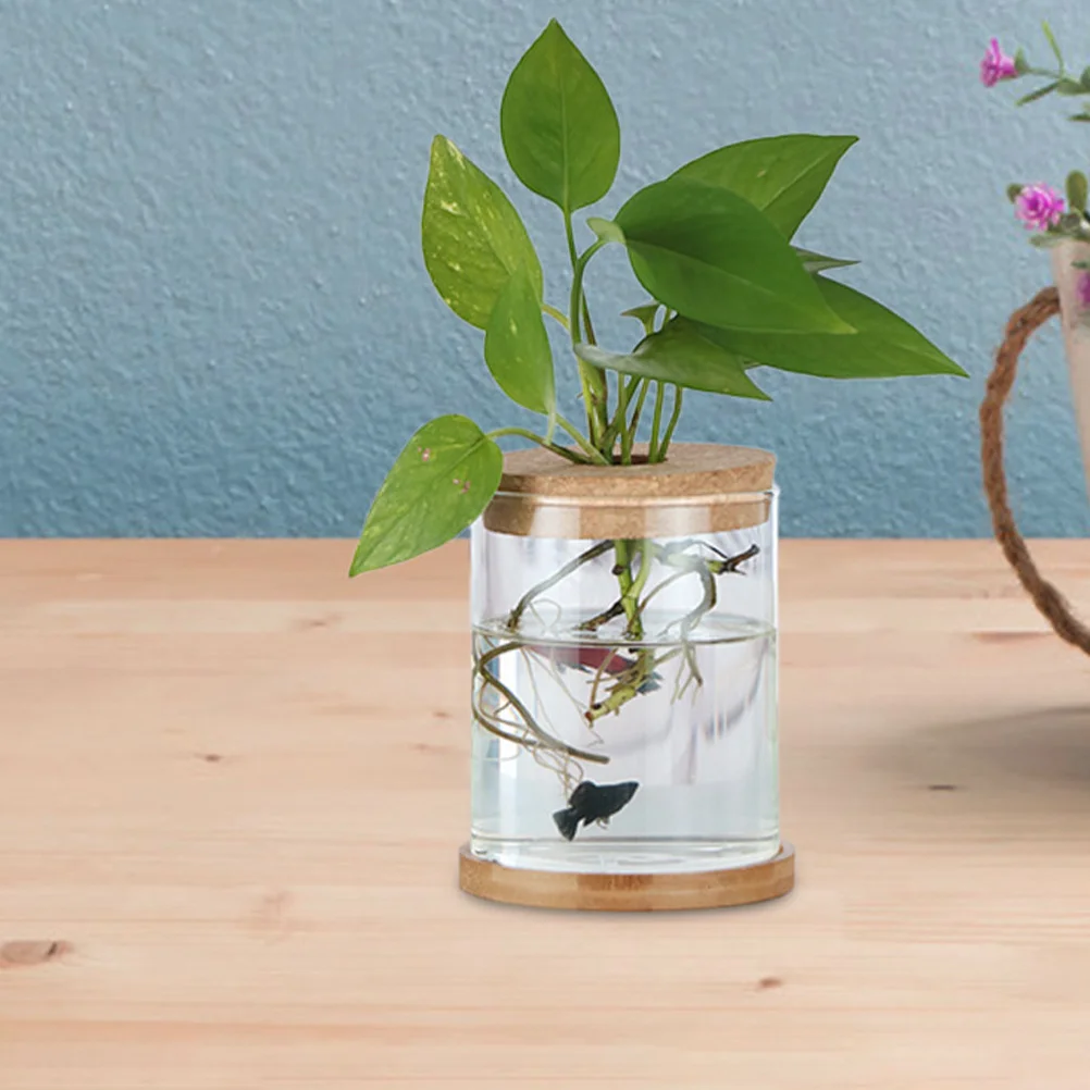 

6Pcs Wall Vase Cork Lids Glass Planter Hydroponic Cork Stoppers Wooden Tapered Plugs Indoor Hanging Micro Landscape Terrarium