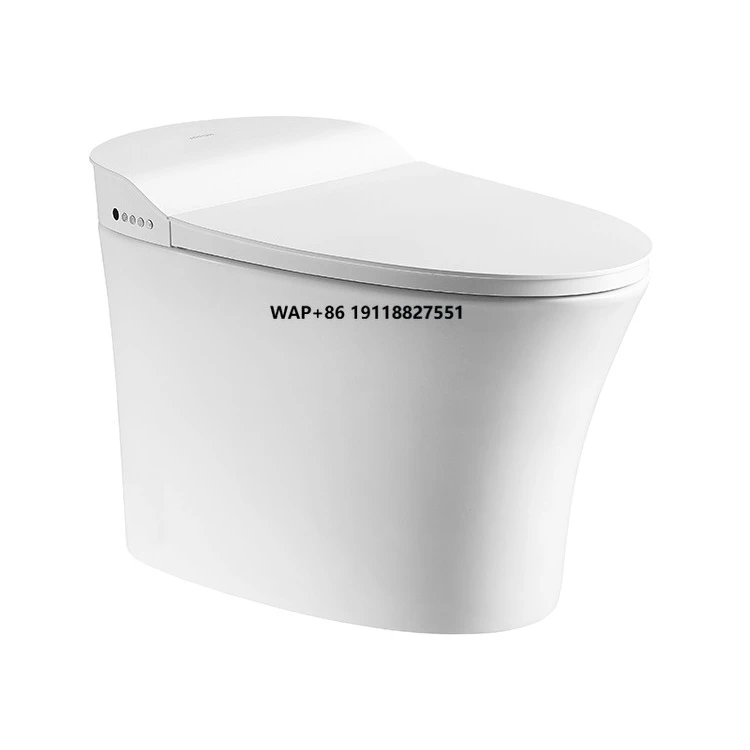 

Arrow Brand Modern Bathroom Smart Bidet Toilet Concealed Tank with Intelligent Features Ceramic Floor Mounted High-Tech Solution