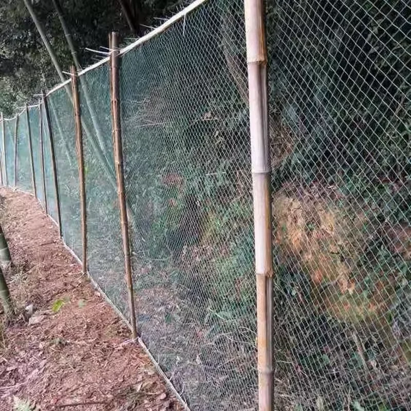 Bird Net, Orchard Net, Garden Nets, Chicken Cage, Poultry, Breeding Net, Nylon Green Net,for Fish Pond, Garden, Prevent Animals