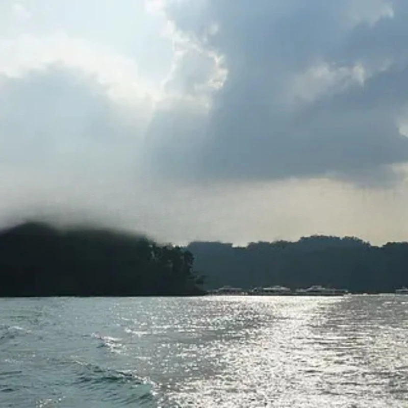 

T Motor T Hobby At2317 Long Shaft 880KV 1400KV 1250KV Outrunner Brushless Motor for RC FPV Fixed Wing Drone Parts