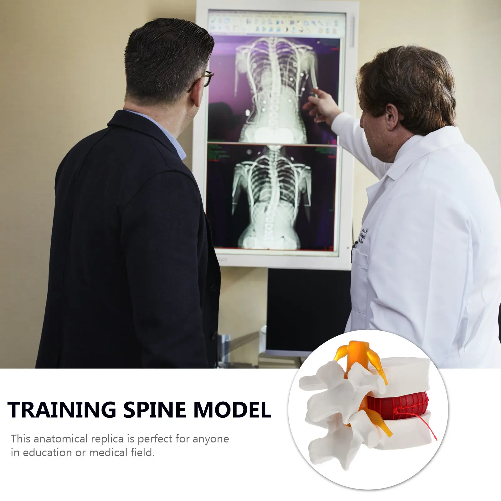 1Pcs Spine Anatomy Human Lumbar Disc Herniation Presentation Educational Training Teaching Medical Anatomy PVC Practice