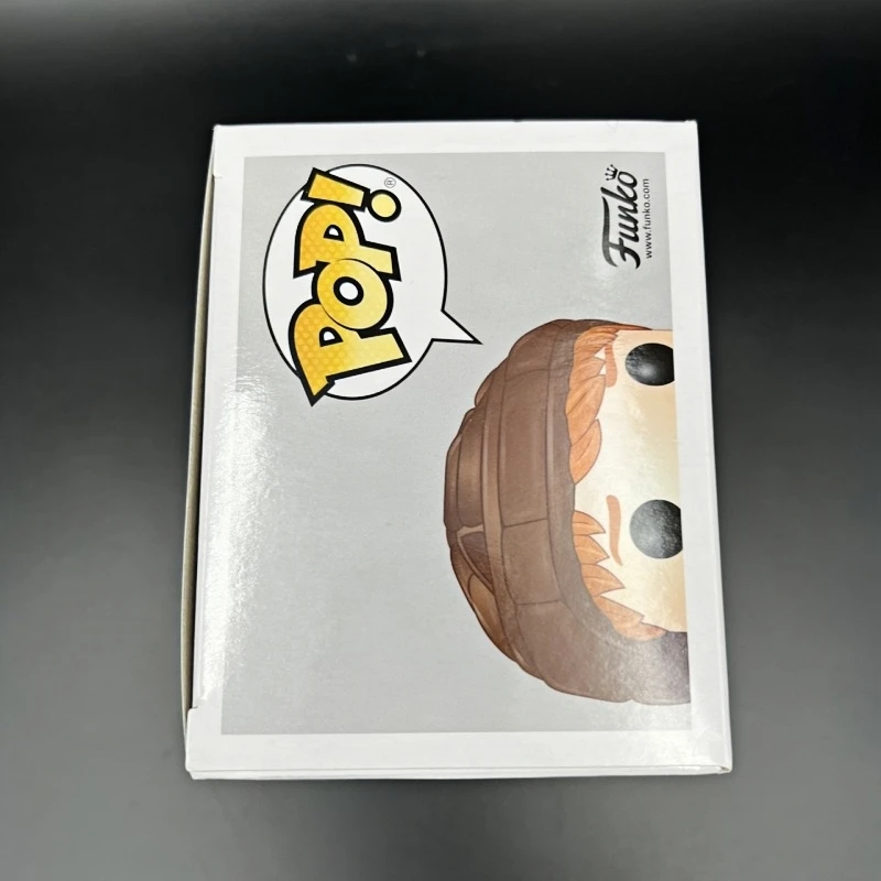 Funko POP Original Harry Potter Ron Weasley with Flying Broom #54 Action Figure Collectible Figurine Ornament Doll Gift view 6