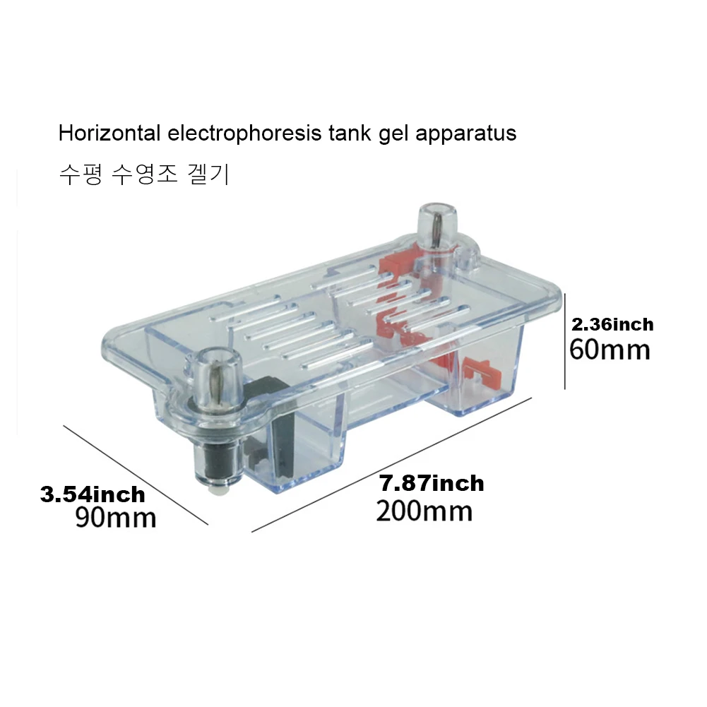 Horizontal Electrophoresis Tank Gel Experiment Biological Teaching Experimental Instrument Experimental Teaching Tool1 Pcs