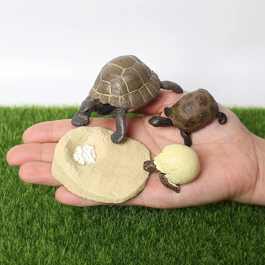 Realistyczne figurki modelujące cykl życia gadów, zabawki, wąż, jaszczurka, kameleon, żółw, figurka cyklu życia, zabawka edukacyjna, upominki na przyjęcia