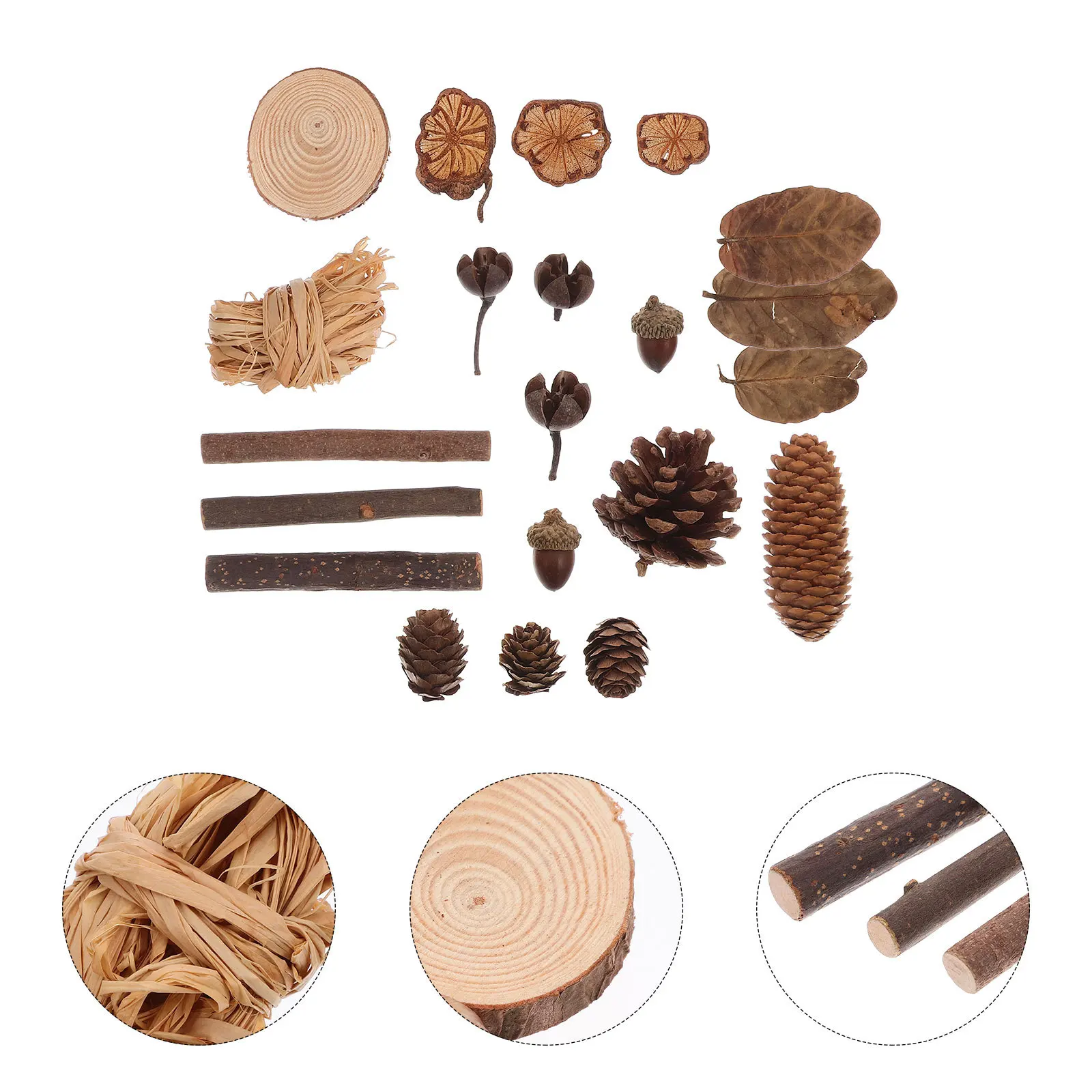 

Dried Fruit Flower Set Wood Props For Photo Booth Home Decor Craft Ornament Pinecones Table Scatters Fall