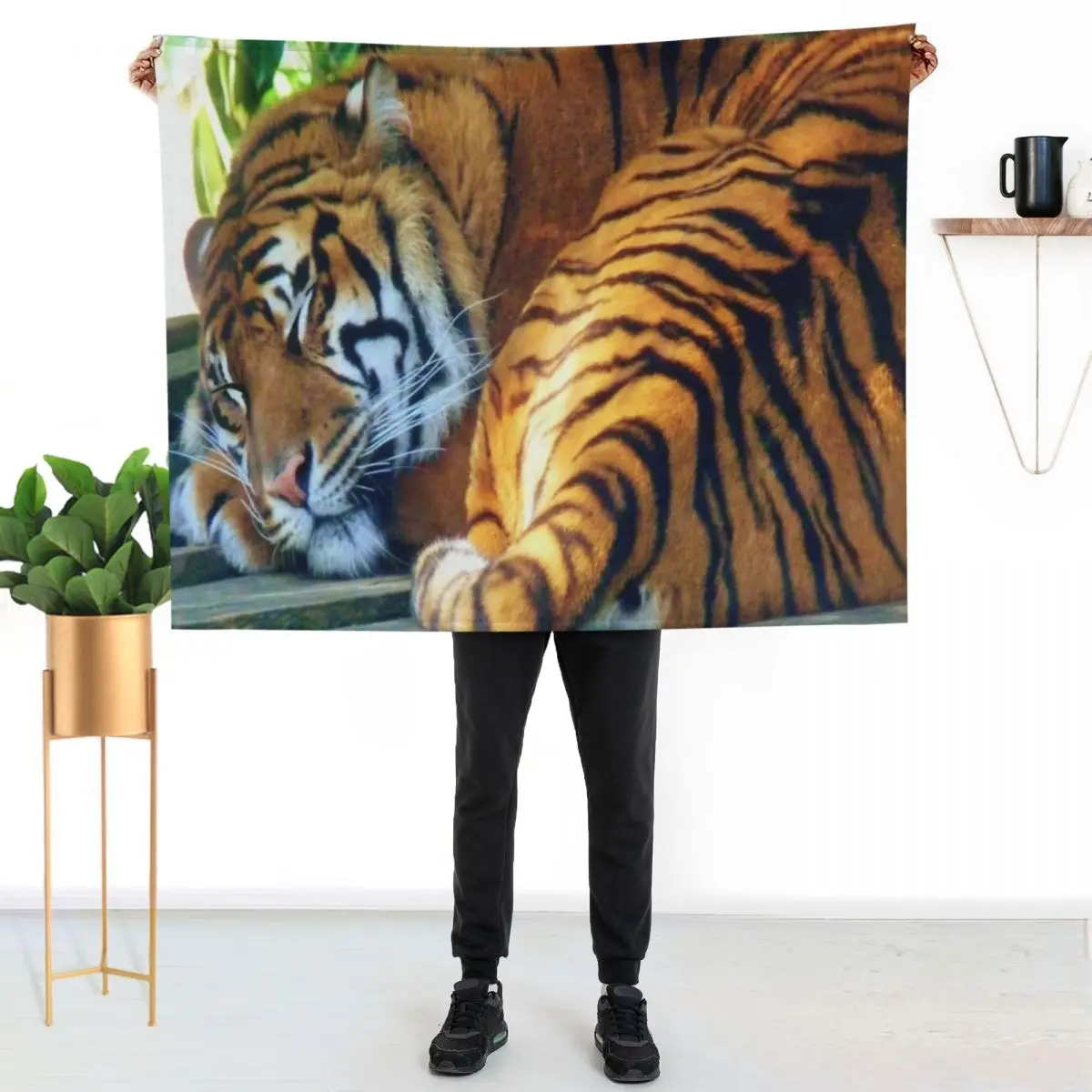 Sleeping Beauty (white background) Throw Blanket Luxury St Custom Thermals For Travel Hair Loose Hairys Blankets