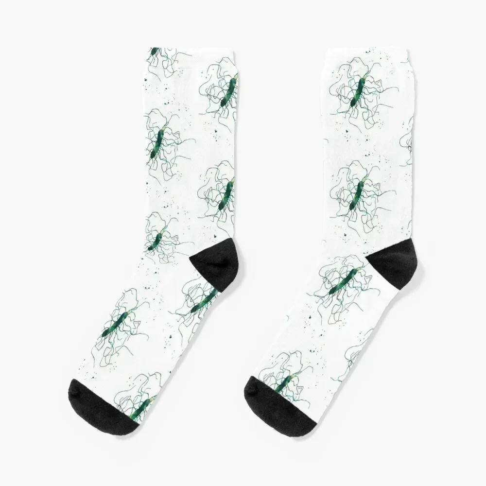 

Clostridium Difficile Bacteria Socks Lots gym Men's Socks Women's