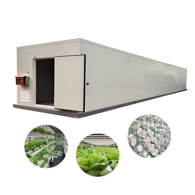 Customized Large Commercial PE Mushroom Cultivation Container Breathable Growing Box Equipment For Farm Factory