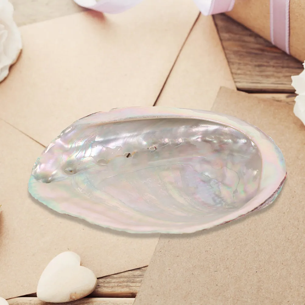 Natural Abalone Shell Aromatherapy Burning Bowl Rough Shell Ornament for Aromatherapy Holder Fish Tank Decoration Soap Dish
