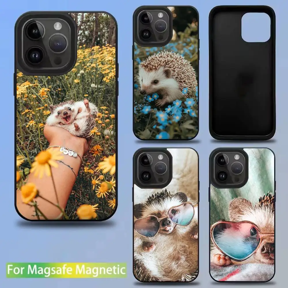 

Cute Animal Hedgehog Phone Case For iPhone 16,15,14,13,12,11,Pro,Max,Plus,Mini,SE New Magsafe Magnetic Wireless Charging