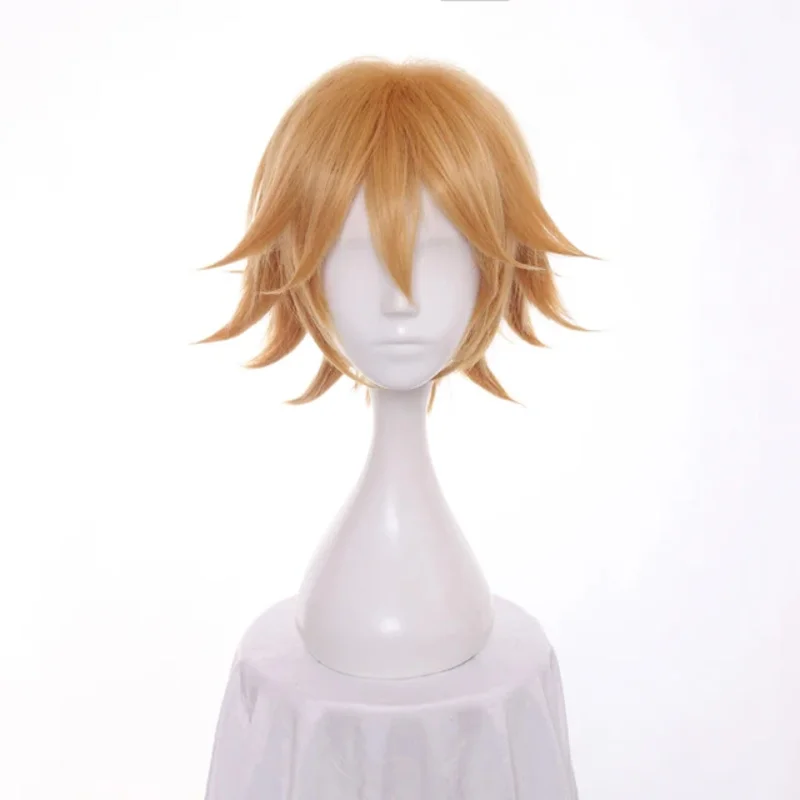 IHYAMS Wig Cat Noir Cosplay Wigs 30cm Short Golden Cosplay Wig Heat Resistant Synthetic Hair Wig Cap