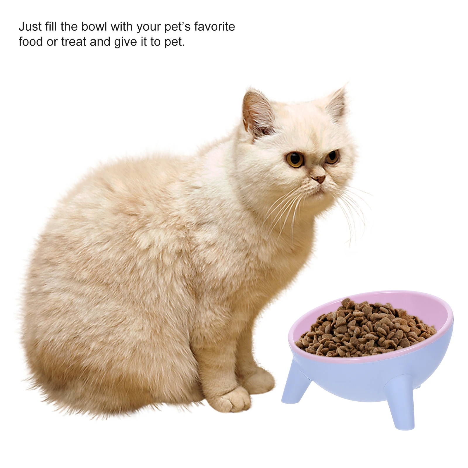

Stable Resin Pet Bowls Anti-Slip Cat Bowl 15° Tilted Eco-Friendly Dog Feeder For Food Water Feeder Bowl