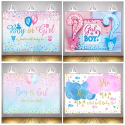 Gender Reveal Background Boy or Girl Backdrop Blue Pink Gender Reveal Party What Will Baby Be Banner Baby Shower