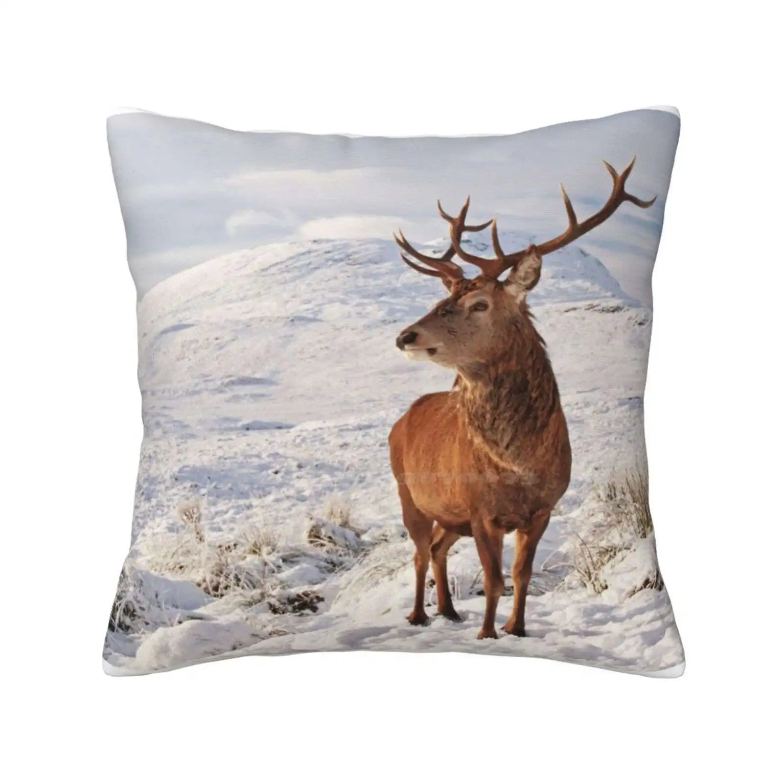 Deer Stag In The Snow Home Sofa Car Waist Throw Pillowcase Deer Stag Animal Wildlife Wilderness Deer In Snow Snow Landscape