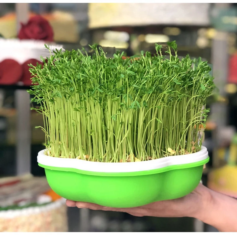 AS94-Bean Sprout Germination Pot Soilless Hydroponic Germination Pot Wheat Seedling Planting Pot Sprout Seedling Tray