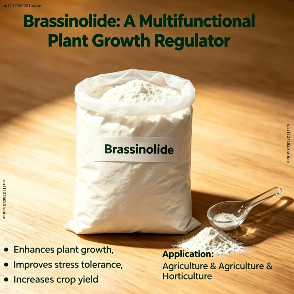 Ultra Super Active Brassinolide Plant Growth Regulator Universal Organic Foliar Fertilizer