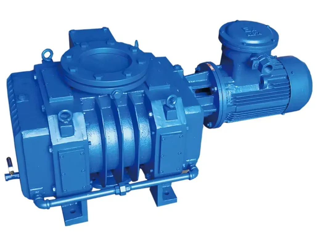 

Roots vacuum pump