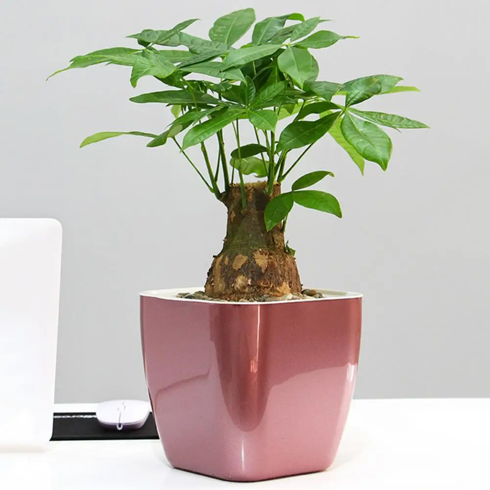 Vaso per fiori con irrigazione automatica, fioriera quadrata con foro ventilato, fioriera per acqua autoadesiva, vaso da fiori da giardinaggio
