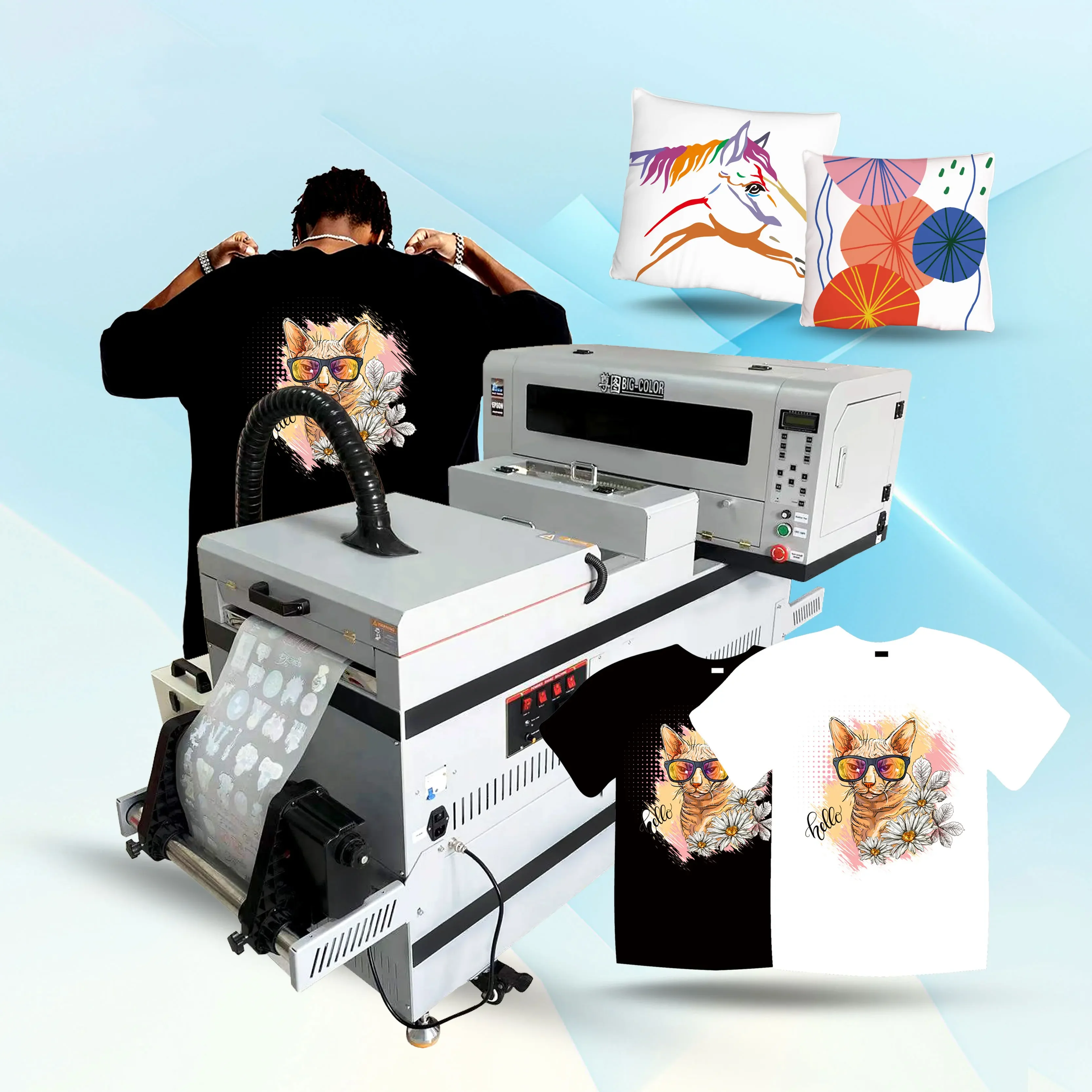 Cheap Chinese factory price T-shirt printer 30cm heat transfer printer DTF printer