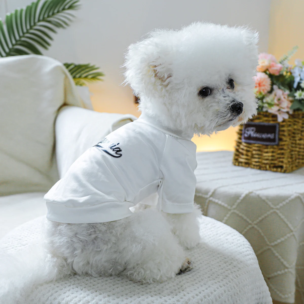 1PC Pet Clothing Dog Cat Pullover Summer Black Flower California White T Suitable for Small and Medium sized Dogs