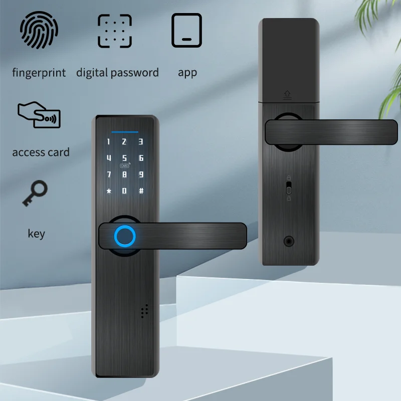 PHIPULO Tuya APP WIFI Smart Door Lock Fingerprint Remote Unlock carta magnetica Password Key Password temporanea Smart Home