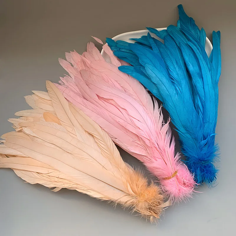 customized 25-30cm faded colored rooster tail feathers DIY handmade performance dance decoration crafts clothing 10PCS