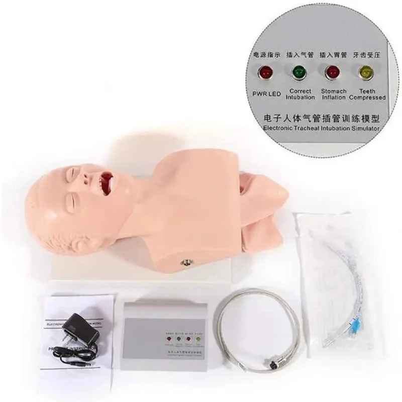 Teaching Model Human Body Electronic Endotracheal Intubation Simulation Airway With Teeth Pressure Equipment 1:1 Life Size
