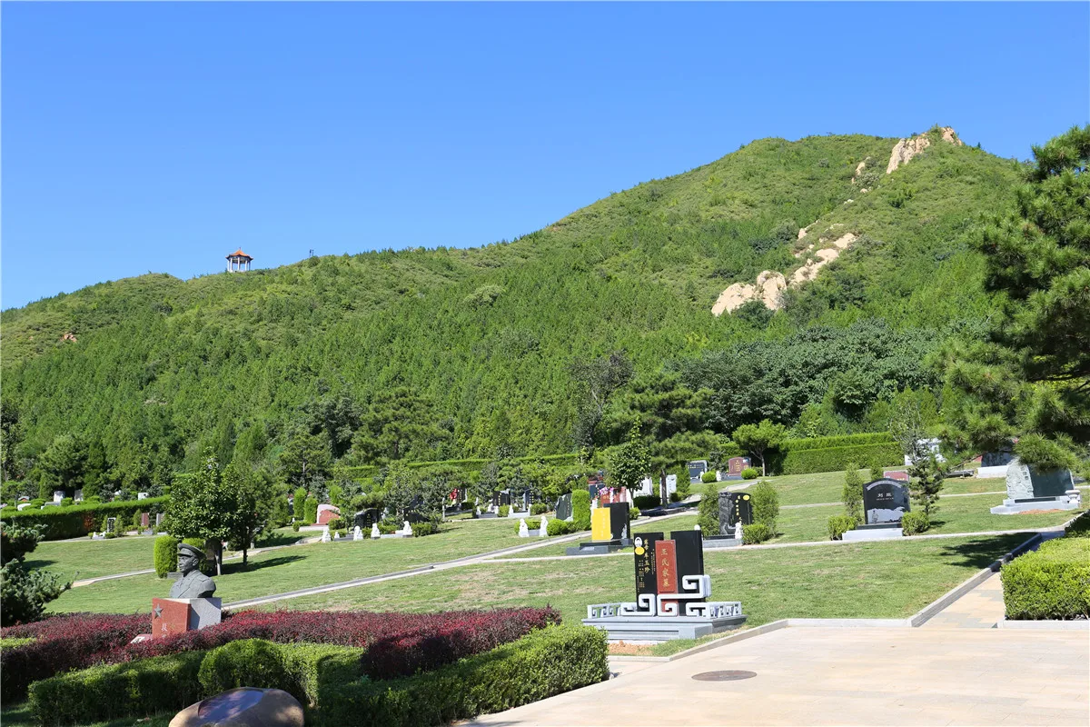 

Высокоскоростной охлаждающий вентилятор для RC-моторов и ESC, DIY-комплект, 21534 об/мин, для TRX4, TRX6, TRX UDR, 85086-4, ARRMA Mojave, EXB, Axial 1/10, 1/8, 1/5