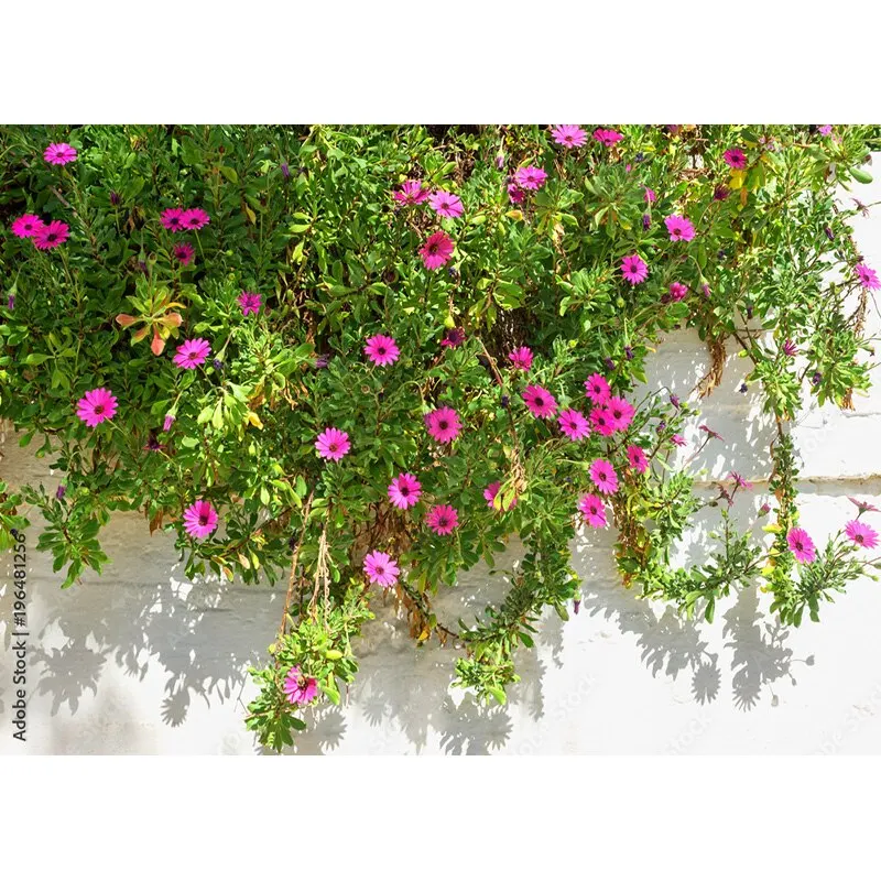 NITREE Art Photography Backdrops Prop Flower Wall Wedding Valentine's Day Photo Studio Background Props HHQQ-04