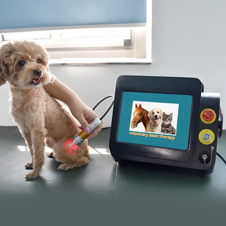 980 Animal Laser Therapy 810nm 980nm 1064nm Class 4 Best Veterinary Pet Equine Laser Horse Therapy Equipment