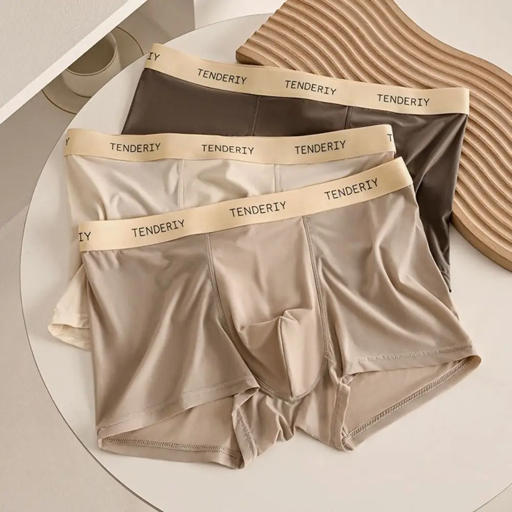 

4Pcs Elastic Letter Ice Silk Panties Mid Waist Thin Seamless Thin Briefs Simple Underpants Male Boxer Shorts Male