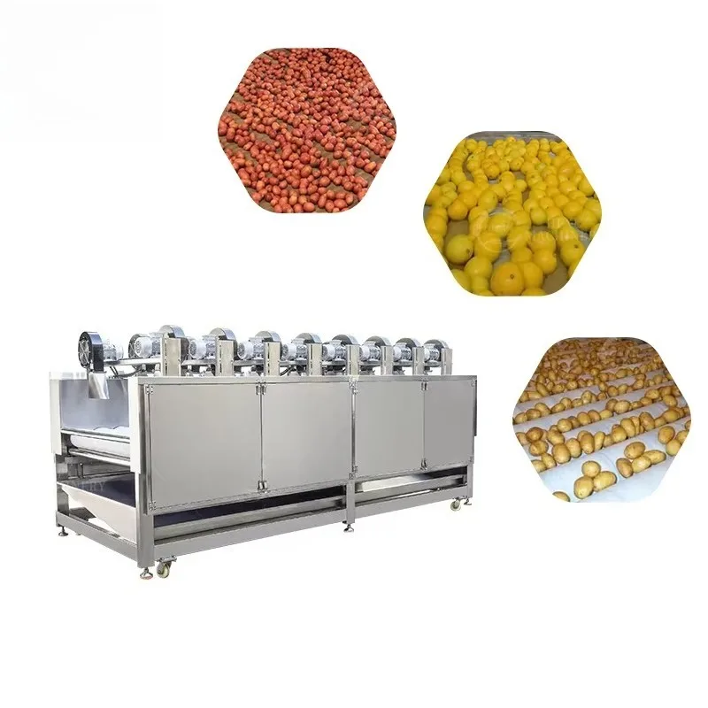 Industrial Vegetable & Fruit Dryer with Sponge Rollers – Sponge Roller Drying Machine Food-Grade Commercial Factories