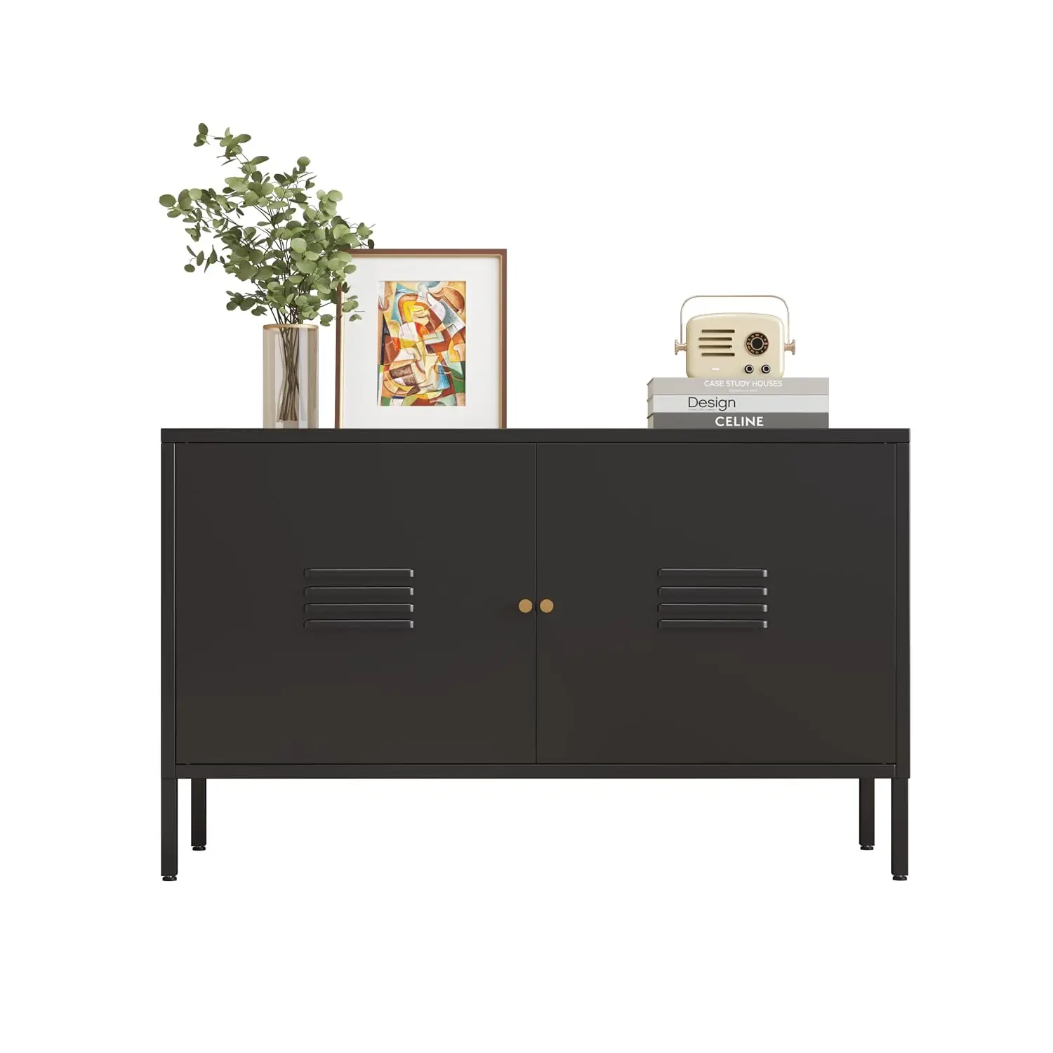 2 Door Metal Accent Storage Cabinet for Studio Living Room Home Hotel Office 2-Tier Steel Locker TV Stand, Customized