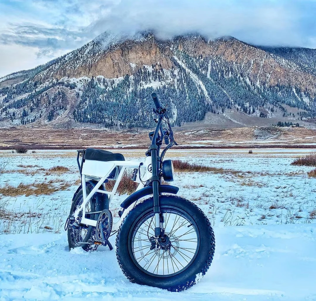 52V 1200W ファットタイヤ電動自転車、リチウム電池搭載、卸売価格、ロングテール電動自転車、大人用ダートバイク