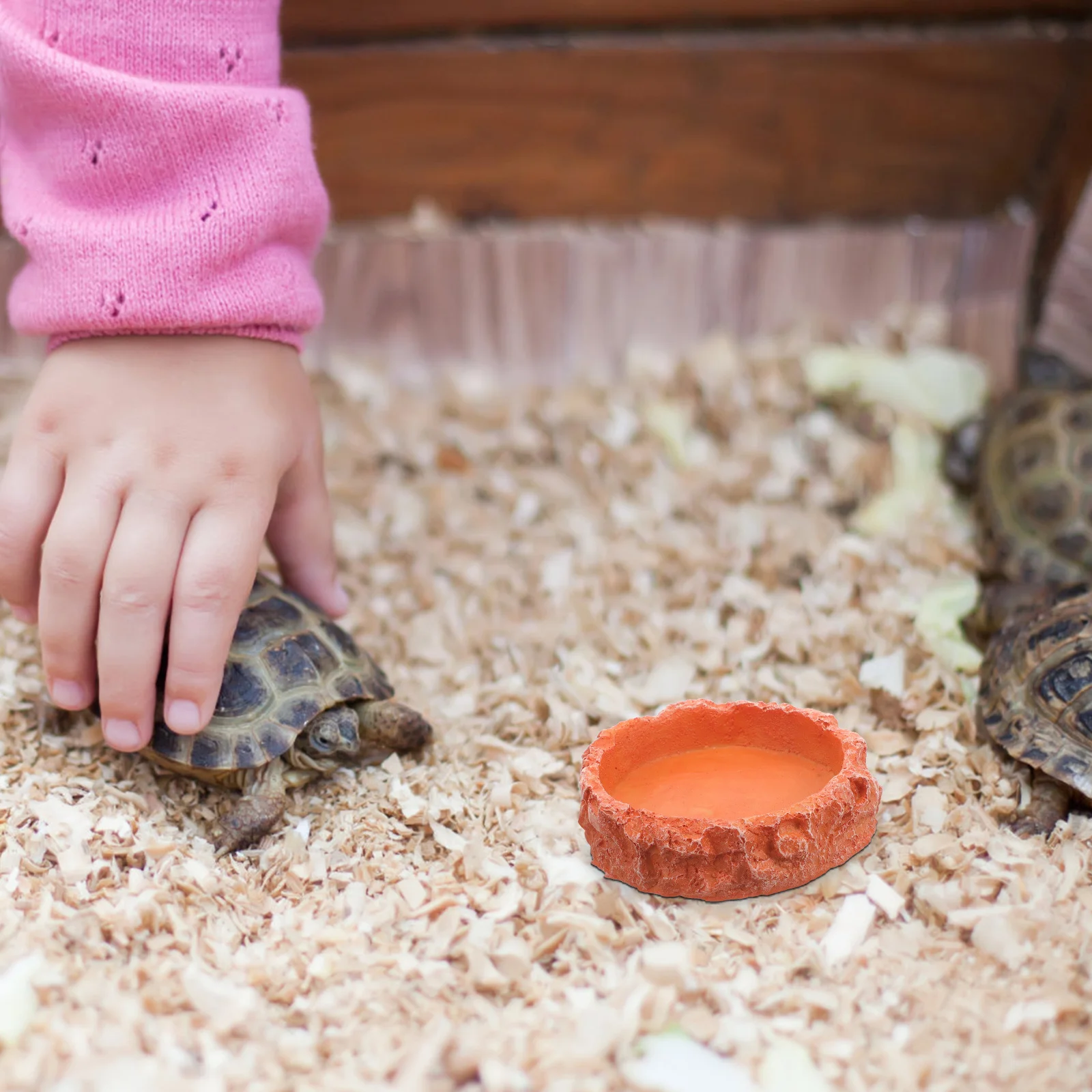 

Resin Reptile Water Bowl Stable Long-Lasting Crawler Pet Feeding Dish Plate for Terrarium Decorative Reptile Food Holder