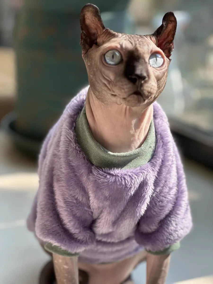 Cat Clothing Warm Sweater for Kittens Dogs Winter Short Sleeves Soft Coat For Devon Rex Holiday Costumes for Sphynx Cat