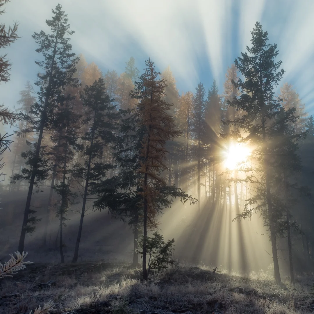 Jy 12.1 Inch For Ja… - image