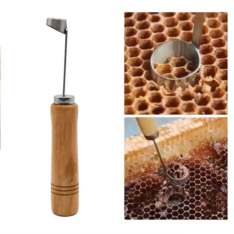 1Pc No-graft Queen Rearing Kit Comb Foundation Cutter For Queen Bee Rearing Bee Extractor Tool Beekeeper Practical Equipment