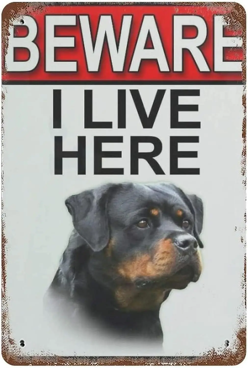 Rottweilers Dog Breed Gate Metal Signs Beware I Live Here Tin Sign Garden Yard Fence 8x6